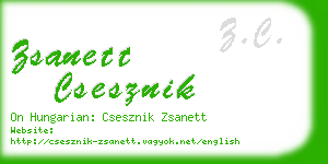 zsanett csesznik business card